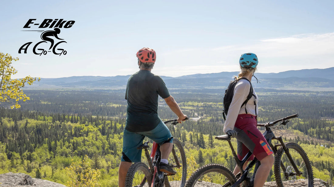 The Easy and Convenient Way to Explore San Diego with E-Bike Rentals