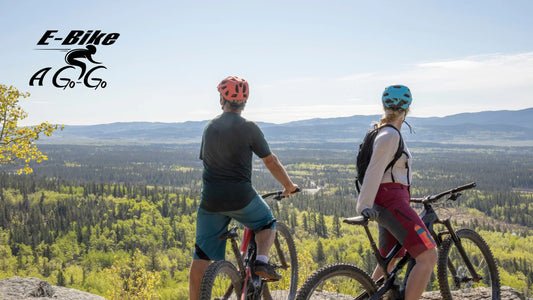 The Easy and Convenient Way to Explore San Diego with E-Bike Rentals