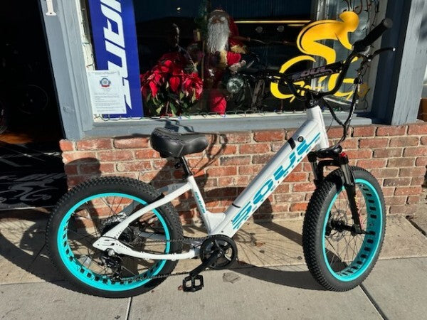 Discover San Diego’s Coastal Charms with E-Bike Rentals from E-Bike A Go-Go
