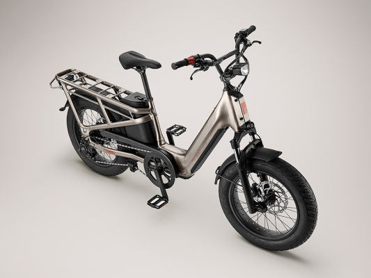 Embrace the E-Bike Lifestyle in Fallbrook, California