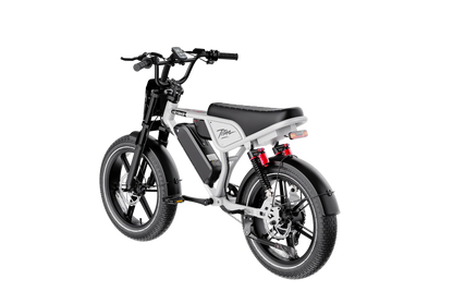Heybike Titan Dual Battery