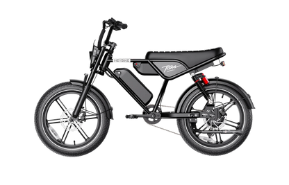 Heybike Titan Dual Battery