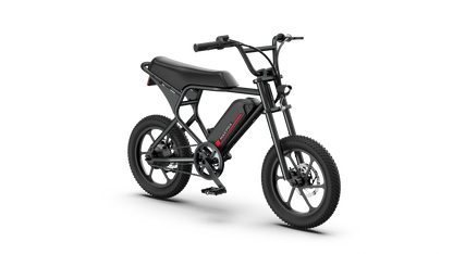 Macfox M19