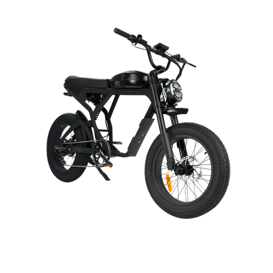 Revi Cougar Pro