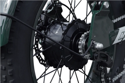 Qiolor Tiger - Moped-Style Electric Bike