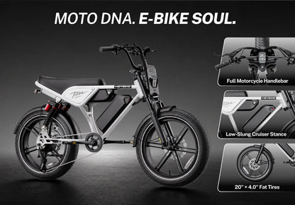 Heybike Titan Dual Battery