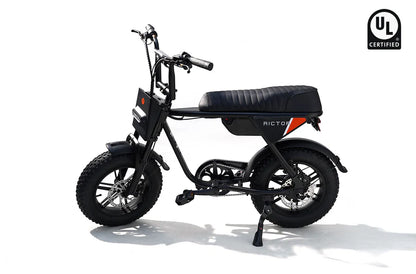 Rictor Flexx Ebike