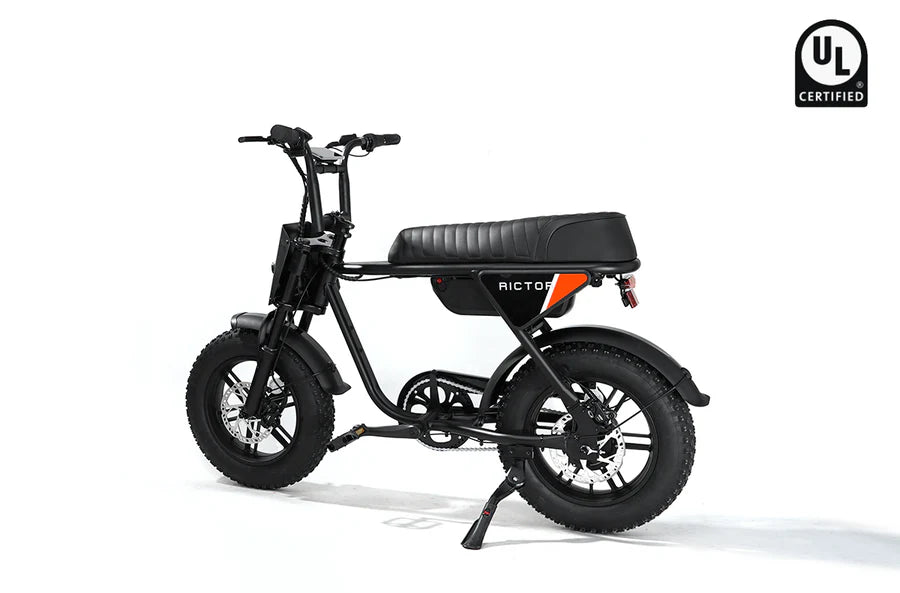 Rictor Flexx Ebike