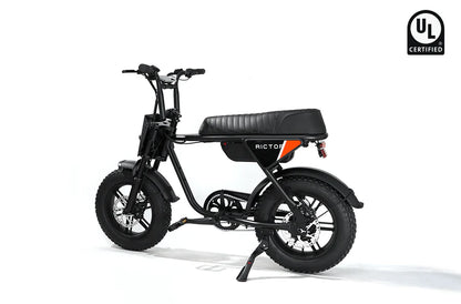 Rictor Flexx Ebike