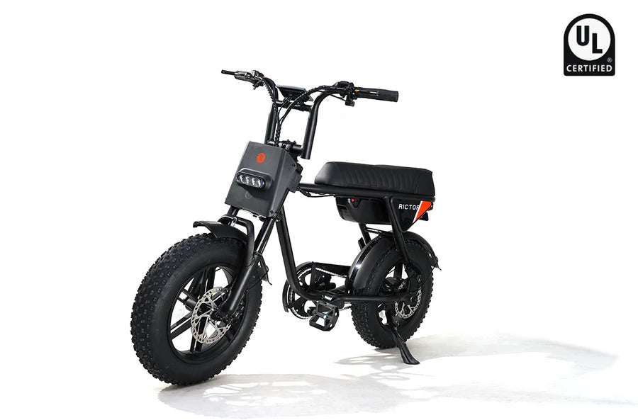 Rictor Flexx Ebike