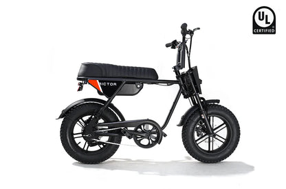 Rictor Flexx Ebike