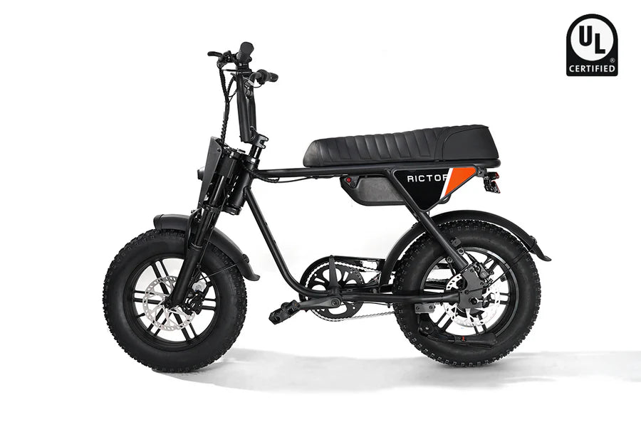 Rictor Flexx Ebike
