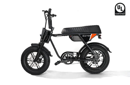 Rictor Flexx Ebike