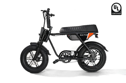 Rictor Flexx Ebike