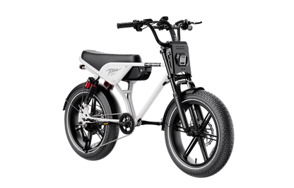Heybike Titan Single Battery