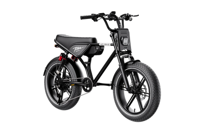 Heybike Titan Single Battery