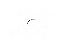 E-Bike a Go-Go